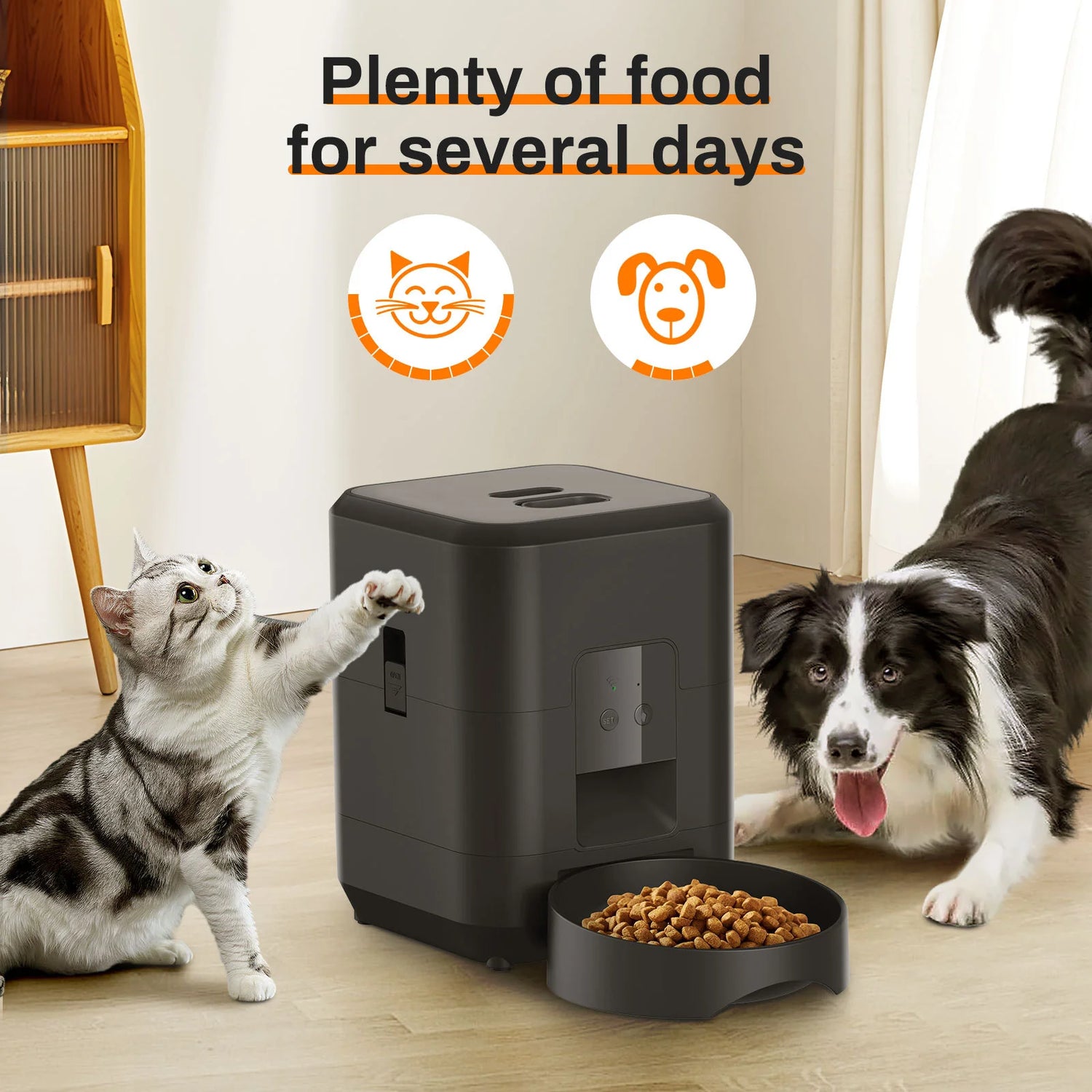 Revolutionize Your Pet Feeding Routine with the HEYBO Smart Pet Feeder - 2L Automatic Solution for Cats & Small Dogs!